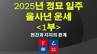 2025년 정묘 일주 을사년 운세 1부