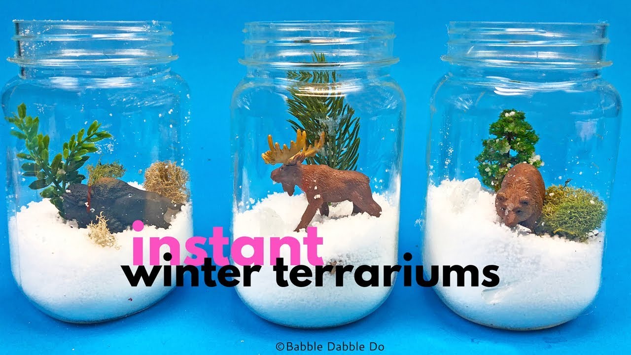 How To Make An "Instant" Winter Terrarium For Kids - YouTube