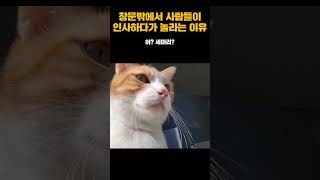 어? 고양이다! 안녕~~~