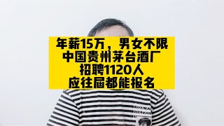 年薪15万，男女不限，中国贵州茅台酒厂招聘1120人，应往届都能报