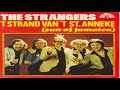 de strangers strand van st anneke 1980