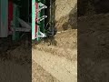 sugar cane sowing in trench method with sugar cane planter