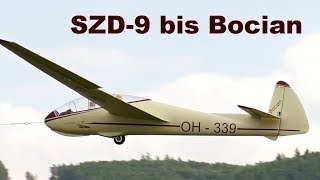 SZD-9 Bocian, giant scale RC glider, 2018