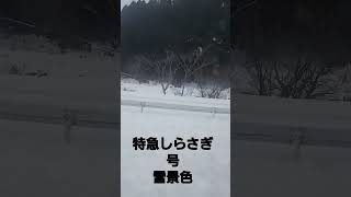 特急しらさぎ号から見る雪景色#shorts #特急しらさぎ