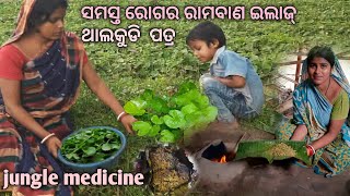 ରୋଗୀଙ୍କ ପାଇଁ ମହୌଷଧି  ଶୁଆଦିଆ ଥାଲକୁଡି ପତ୍ର ପତ୍ରପୋଡ଼ା#village style forest  leaf recipe#villagerecipe