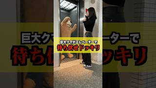 【ドッキリ】巨大クマに変装して妹を待ち伏せして思いっきり脅かしてみたwww #shorts