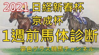 【馬体診断】2021日経新春杯\u0026京成杯！プラチナトレジャーをゴールドシップ産駒だと思い込んでた！？