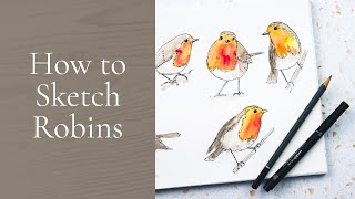 Line and Wash Robins | How to Sketch Birds