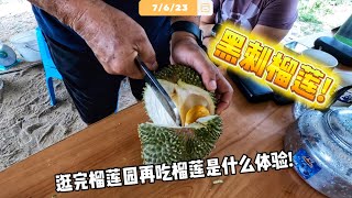 榴莲园里开箱黑刺榴莲! 今天怎么全部肥料都一起到🤣  | Vlog474