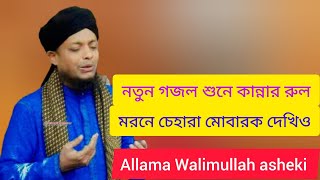 মরণে চেহারা মোবারক দেখিও আকা পাশে বসে কালিমাটা পড়িয়ে দিও । অন্তর শীতল করা গজল । Bangla gojol