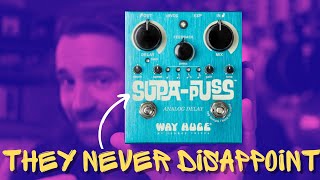 Way Huge Supa-Puss | An Analog Delay Like No Other