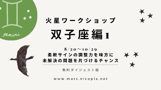 火星ワークショップ2022★双子座編┃７ヶ月にわたる火星・双子座期、３つのステップで完成させる　牡牛座のやり直しで未解決の問題を片づけよう　2022年８月17日　火星サイクル手帳・心理占星術家nico