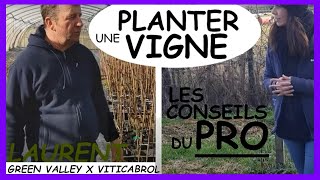 [TUTO] COMMENT planter la VIGNE? (Potager, forêt comestible...) [Viticabrol]