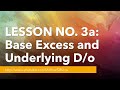 Lesson No. 3, Part 1 of 2: HOW TO ASSESS BASE EXCESS, IDENTIFY UNDERLYING DISORDERS