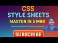 Master CSS Style Sheets in 14 Minutes! 🔥 | External, Internal & Inline CSS Explained