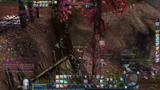 aion gold chest wind spirit 1st