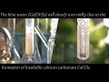 HCl + CaCO3 | Laboratory preparation of CO2 | Lime water milky test