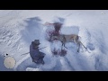 I hate hunting... || Red Dead Redemption 2 [XB1] || TMossBoss Gaming