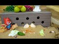 cat tv 🐾 mice hide u0026 seek challenge with secret hideouts 🐭 4k uhd fun watch