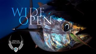 "Wide Open" Trailer - Official Selection of the IF4™ 2016