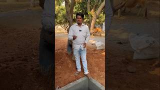 ఆవు మూత్రం నిల్వ చేసే పద్ధతి | Deshi Cow Urine Storage Tip #shorts #trending #farming