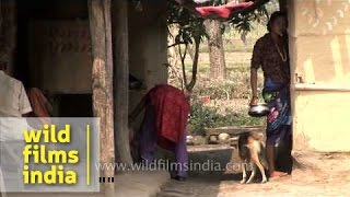 Rural life in Nepal