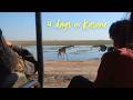 I flew to Kasane for the weekend (Chobe National park + Victoria Falls)