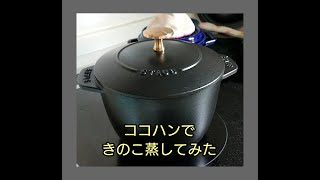 ココハン16センチできのこ蒸してみた