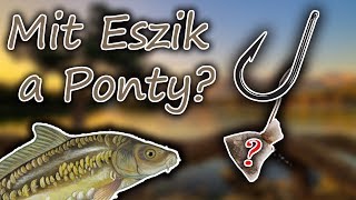 Mit Esznek a Pontyok?