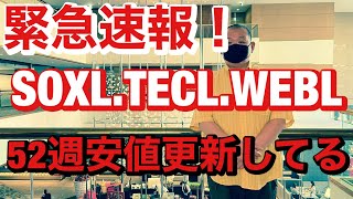 緊急速報あかんプレマでSOXL、TECL、WEBL最安値更新してる! 指値変更