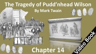 Chapter 14 - The Tragedy of Pudd'nhead Wilson by Mark Twain - Roxana Insists Upon Reform