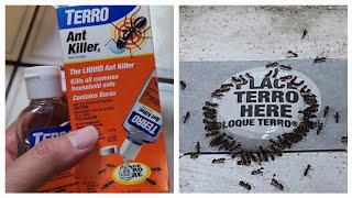 Terro Ant Killer Poison Bait Liquid How to Get Rid of Ants Quick Kills All Common Household Ants