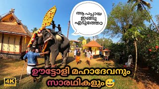 ഊട്ടോളി മഹാദേവനും സാരഥികളും😎😍 | Uttoly Mahadevan | Uttoly Mahadevan Latest | Kerala Elephant