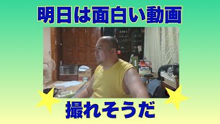 明日は、面白い動画を撮れそうだ(￣▽￣)