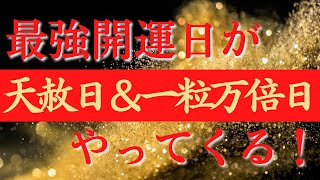 【2022年最初の大開運日】1月11日は最強開運日！