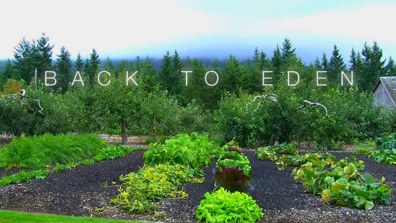 Back To Eden Gardening Documentary Film Official Trailer Youtube