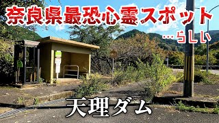 奈良県最恐心霊スポットらしい天理ダムで化け猫達に会う。Meet a monster cat at Tenri Dam, a haunted spot in Nara Prefecture.