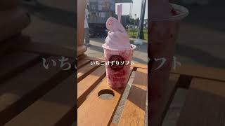 道の駅マオイの丘公園がリニューアルオープン「いちごけずりソフトクリーム」青空の下でスイーツを堪能 #shorts