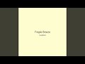 Fragile Breeze