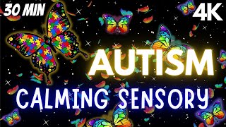 Autism Calming Sensory Music Tension Release Butterfly Visuals