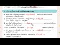 வகுப்பு 2 சூழ்நிலையியல் பருவம் 2 நமது சமுதாயம் மதிப்பீடு