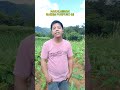 APO MANGAASIKA ( Kyrie) Pakawanem basbasolmi -Kidd Saing Cover - With Lyrics