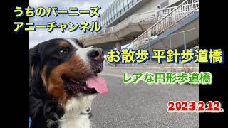 お散歩 平針歩道橋 レアな円形歩道橋　2023.2.12.