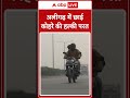 aligarh winter season fog and cold wave continue in aligarh even the winds felt cold. abp live