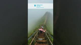 Stairway to heaven in Oahu, Hawaii #travel #traveling #traveller #travelvlog #shorts #youtubeshorts