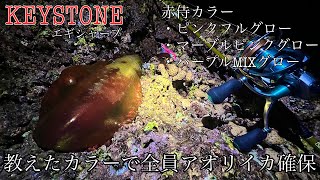 【冬エギング】釣れるカラーを教えたら…