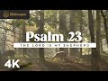 Psalm 23 | The LORD is My Shepherd