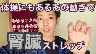 腎臓をあなたも知ってる「あの動き」で活性化