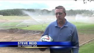 World Cup Grass from Oregon