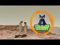 TALK - Run Away to Mars (TechnoDoggy Remix)